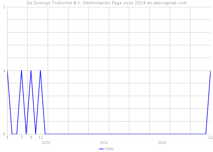 De Zonnige Toekomst B.V. (Netherlands) Page visits 2024 