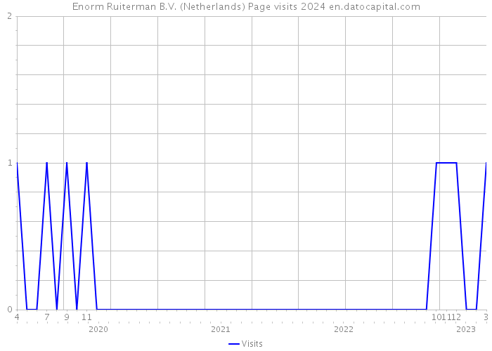 Enorm Ruiterman B.V. (Netherlands) Page visits 2024 
