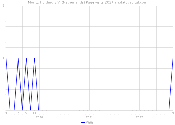 Moritz Holding B.V. (Netherlands) Page visits 2024 