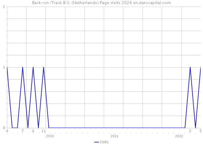 Back-on-Track B.V. (Netherlands) Page visits 2024 