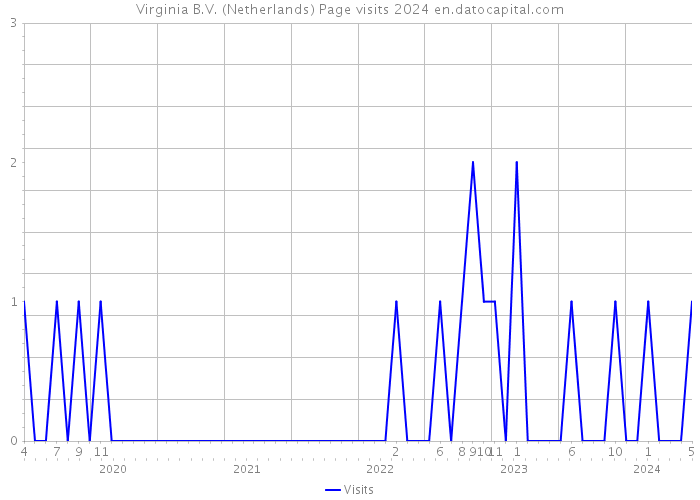 Virginia B.V. (Netherlands) Page visits 2024 