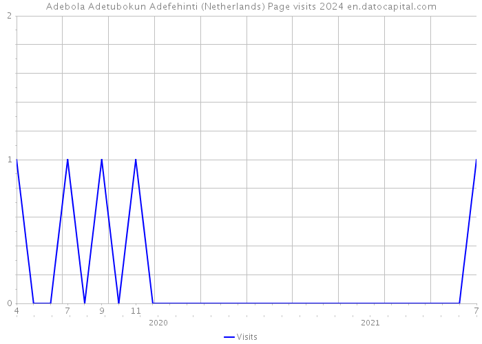 Adebola Adetubokun Adefehinti (Netherlands) Page visits 2024 