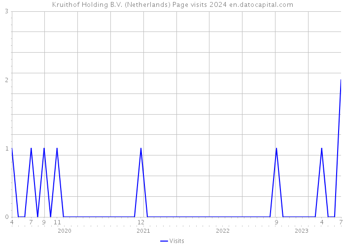 Kruithof Holding B.V. (Netherlands) Page visits 2024 