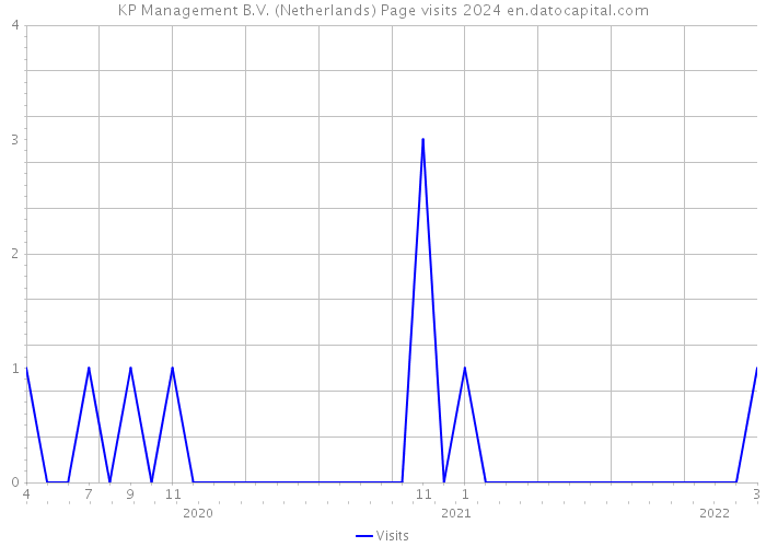 KP Management B.V. (Netherlands) Page visits 2024 