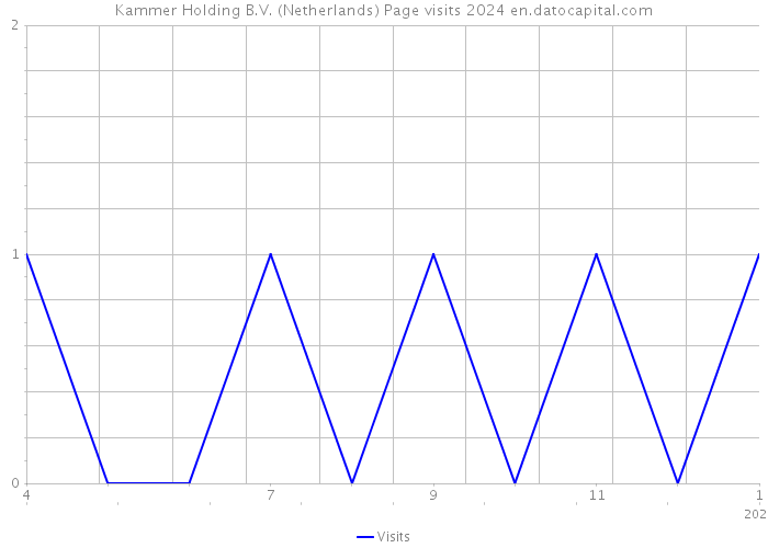 Kammer Holding B.V. (Netherlands) Page visits 2024 