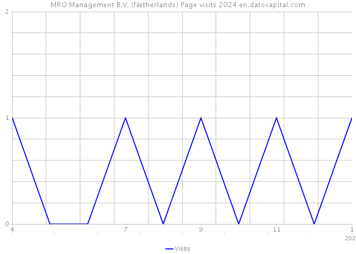 MRO Management B.V. (Netherlands) Page visits 2024 