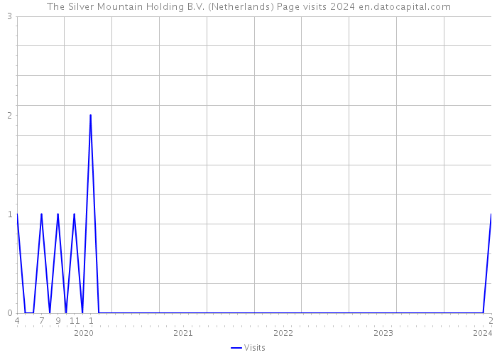 The Silver Mountain Holding B.V. (Netherlands) Page visits 2024 