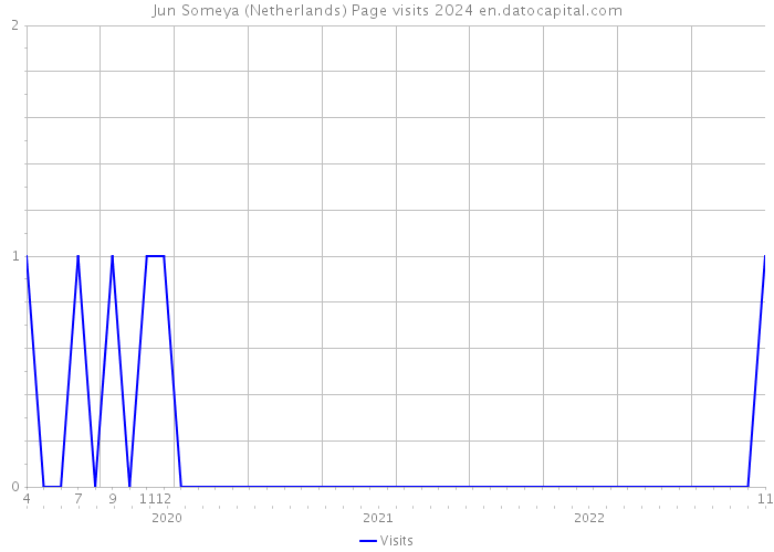 Jun Someya (Netherlands) Page visits 2024 
