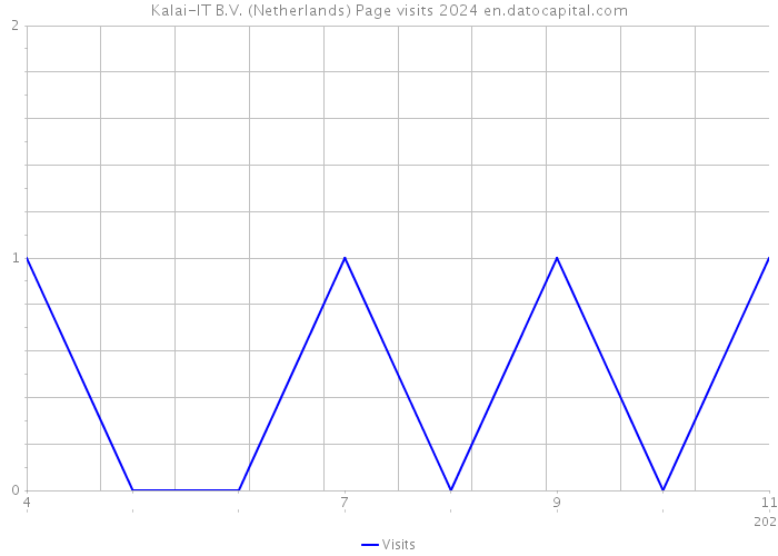 Kalai-IT B.V. (Netherlands) Page visits 2024 