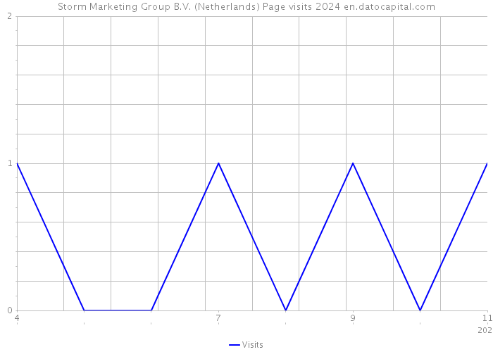 Storm Marketing Group B.V. (Netherlands) Page visits 2024 