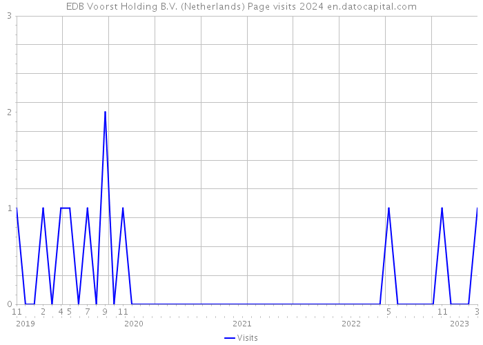 EDB Voorst Holding B.V. (Netherlands) Page visits 2024 