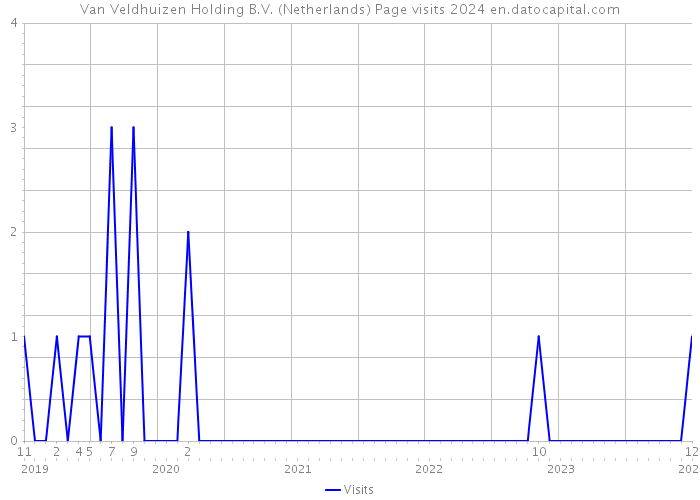 Van Veldhuizen Holding B.V. (Netherlands) Page visits 2024 