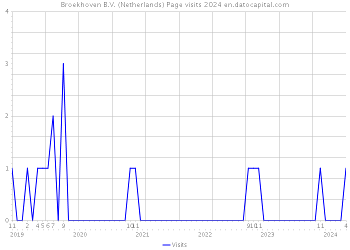 Broekhoven B.V. (Netherlands) Page visits 2024 