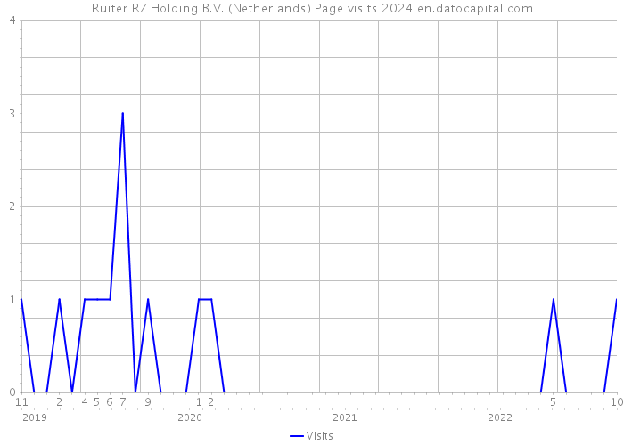 Ruiter RZ Holding B.V. (Netherlands) Page visits 2024 