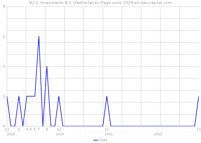 B.J.G. Investments B.V. (Netherlands) Page visits 2024 