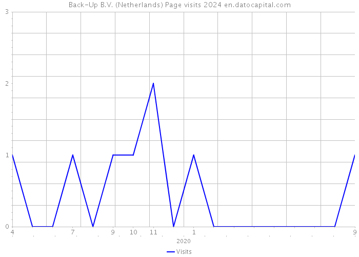 Back-Up B.V. (Netherlands) Page visits 2024 
