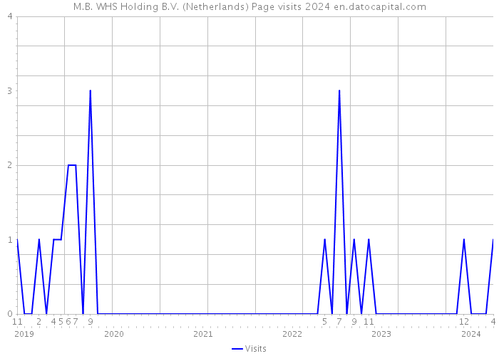 M.B. WHS Holding B.V. (Netherlands) Page visits 2024 