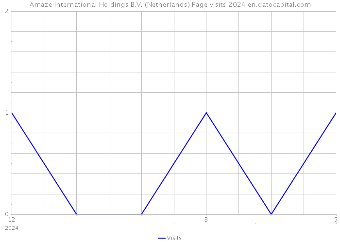 Amaze International Holdings B.V. (Netherlands) Page visits 2024 