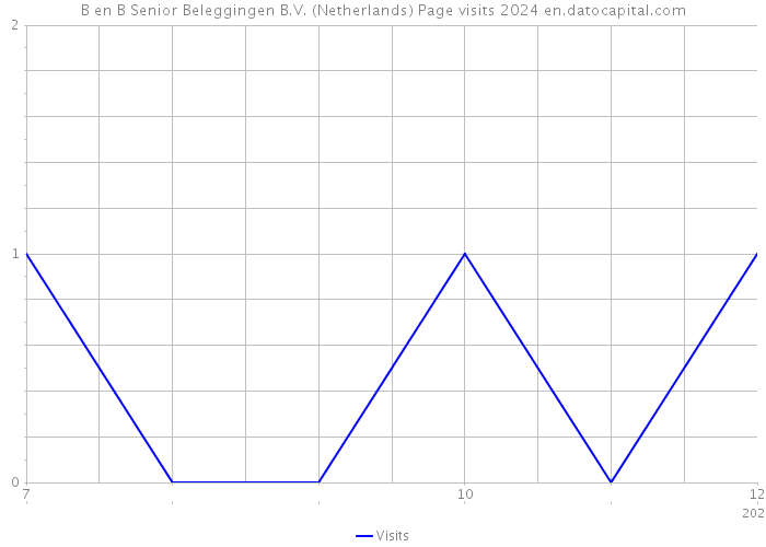 B en B Senior Beleggingen B.V. (Netherlands) Page visits 2024 
