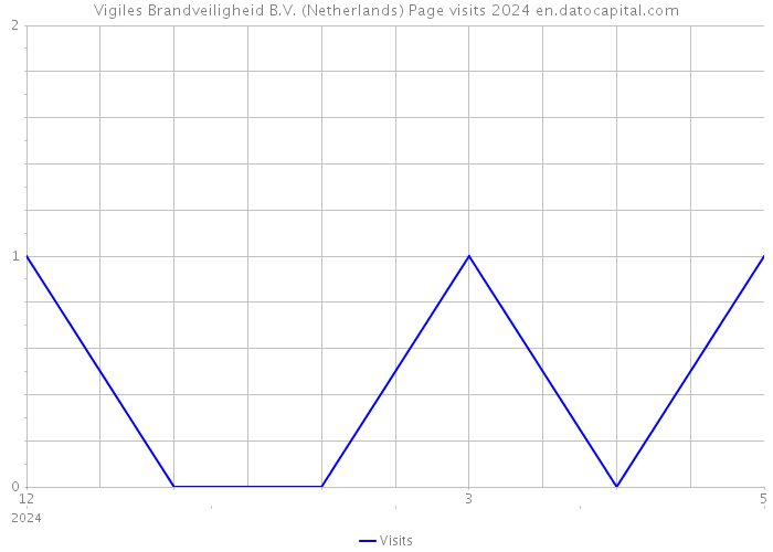 Vigiles Brandveiligheid B.V. (Netherlands) Page visits 2024 