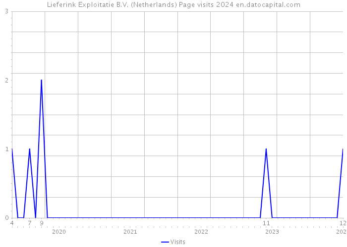 Lieferink Exploitatie B.V. (Netherlands) Page visits 2024 