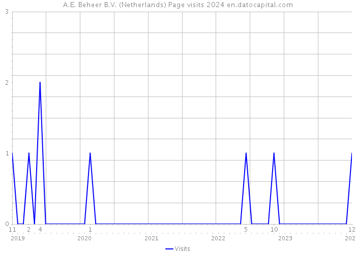 A.E. Beheer B.V. (Netherlands) Page visits 2024 