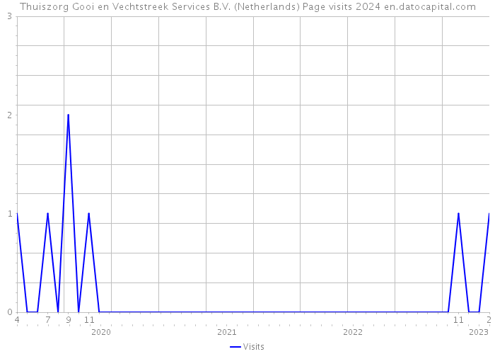 Thuiszorg Gooi en Vechtstreek Services B.V. (Netherlands) Page visits 2024 