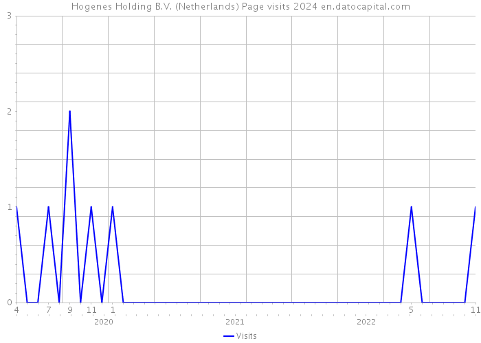 Hogenes Holding B.V. (Netherlands) Page visits 2024 