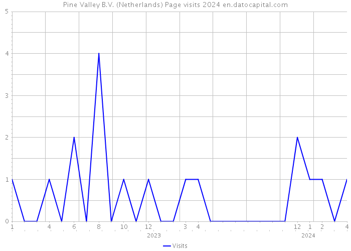 Pine Valley B.V. (Netherlands) Page visits 2024 