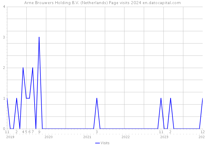 Arne Brouwers Holding B.V. (Netherlands) Page visits 2024 