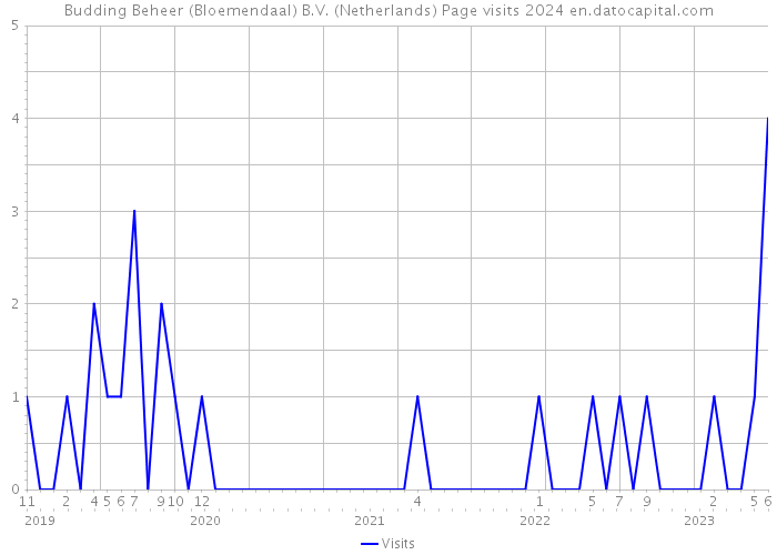 Budding Beheer (Bloemendaal) B.V. (Netherlands) Page visits 2024 