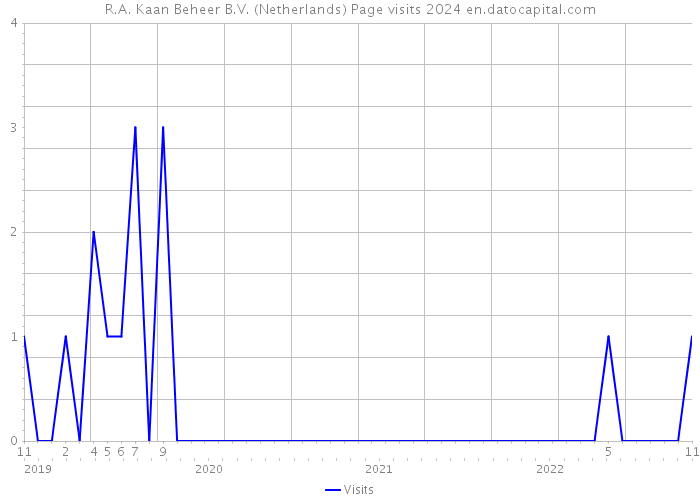 R.A. Kaan Beheer B.V. (Netherlands) Page visits 2024 