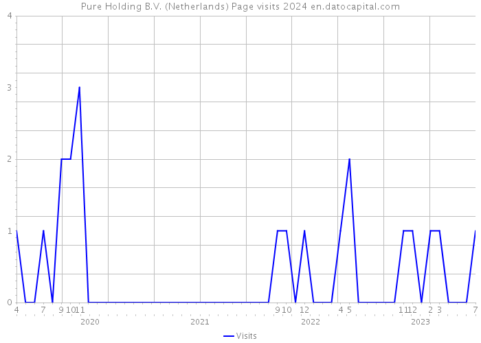 Pure Holding B.V. (Netherlands) Page visits 2024 