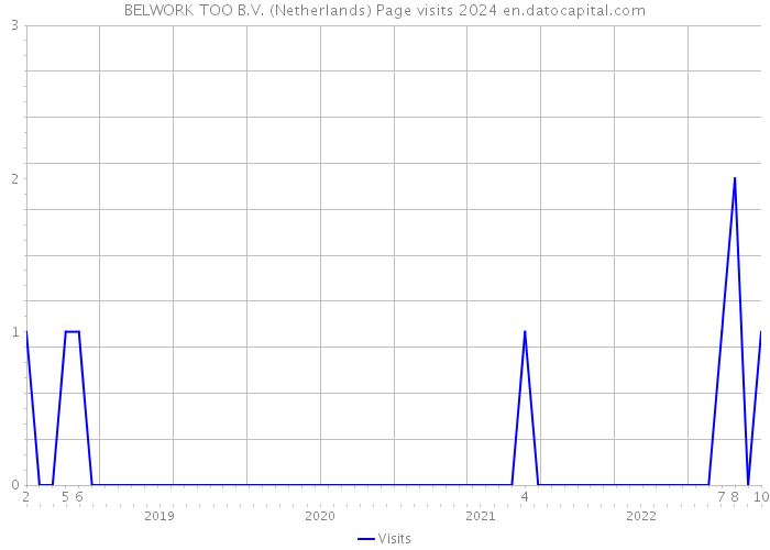 BELWORK TOO B.V. (Netherlands) Page visits 2024 