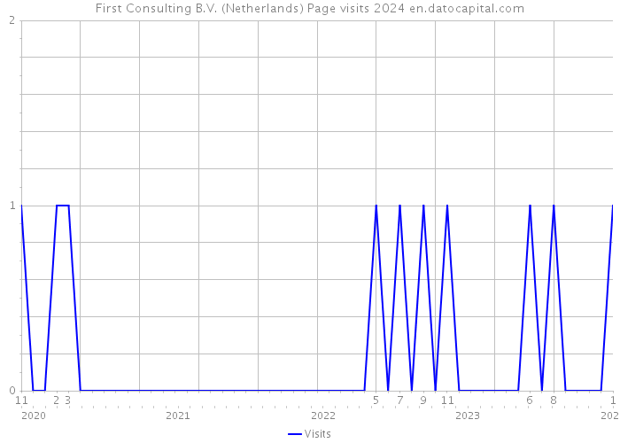 First Consulting B.V. (Netherlands) Page visits 2024 