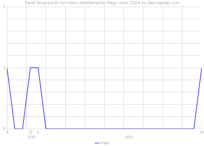 Pavel Sergeevich Voronkov (Netherlands) Page visits 2024 