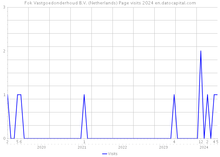 Fok Vastgoedonderhoud B.V. (Netherlands) Page visits 2024 