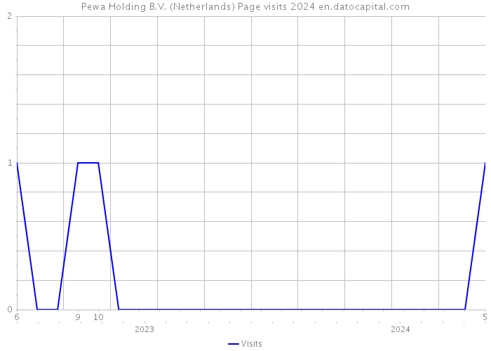 Pewa Holding B.V. (Netherlands) Page visits 2024 