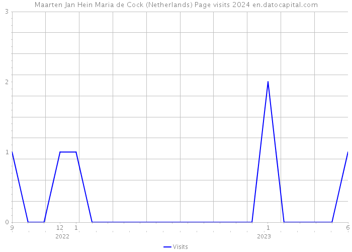 Maarten Jan Hein Maria de Cock (Netherlands) Page visits 2024 