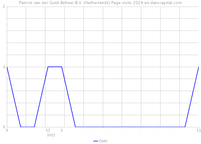 Patrick van der Gulik Beheer B.V. (Netherlands) Page visits 2024 