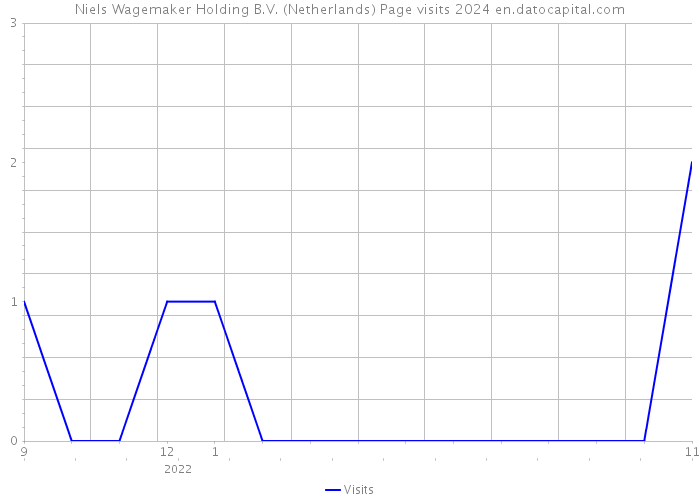 Niels Wagemaker Holding B.V. (Netherlands) Page visits 2024 