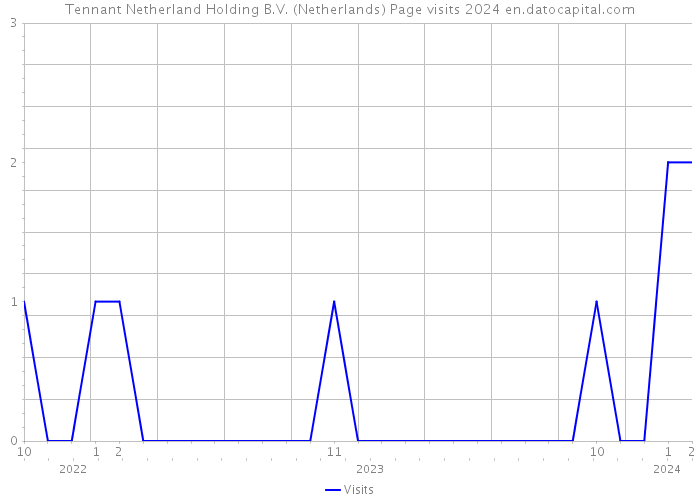 Tennant Netherland Holding B.V. (Netherlands) Page visits 2024 