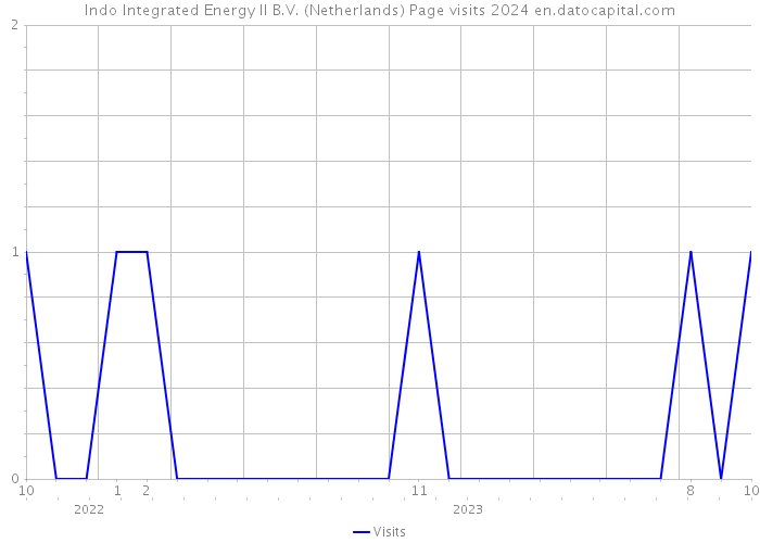 Indo Integrated Energy II B.V. (Netherlands) Page visits 2024 