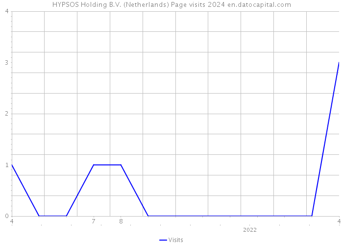HYPSOS Holding B.V. (Netherlands) Page visits 2024 