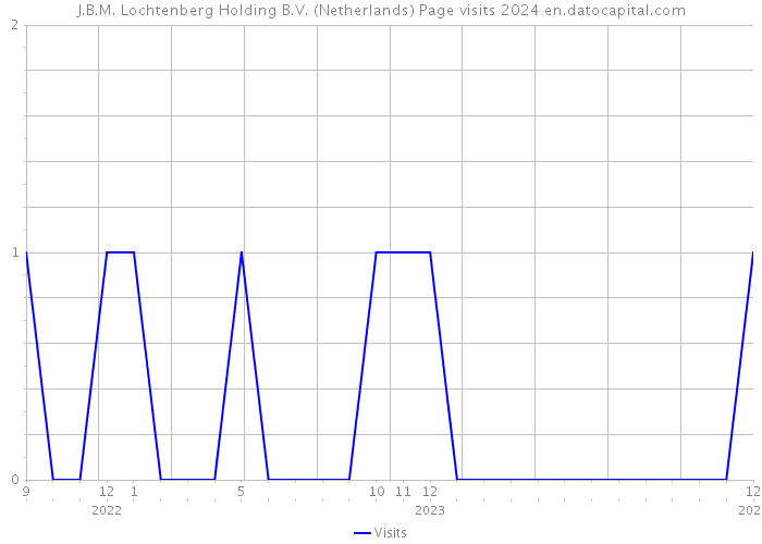 J.B.M. Lochtenberg Holding B.V. (Netherlands) Page visits 2024 