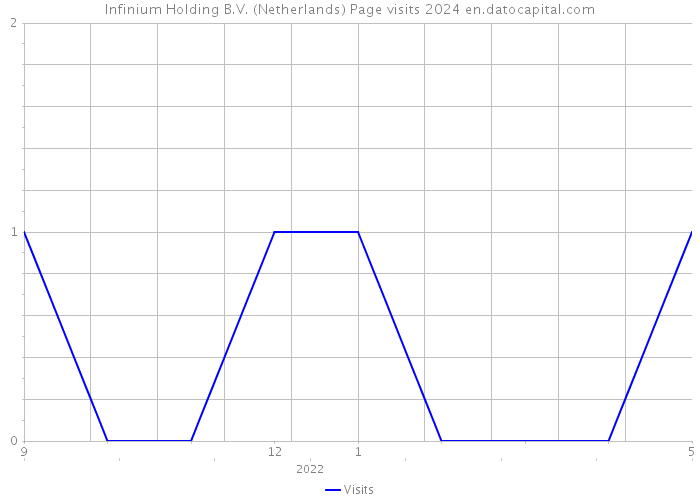 Infinium Holding B.V. (Netherlands) Page visits 2024 
