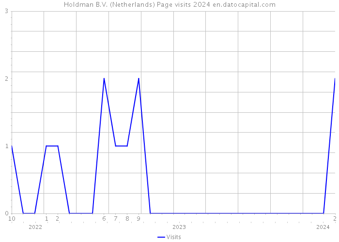 Holdman B.V. (Netherlands) Page visits 2024 