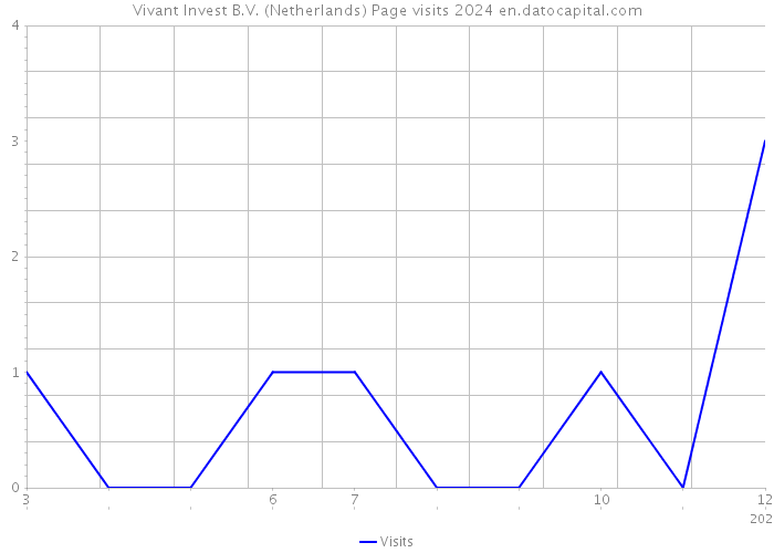 Vivant Invest B.V. (Netherlands) Page visits 2024 