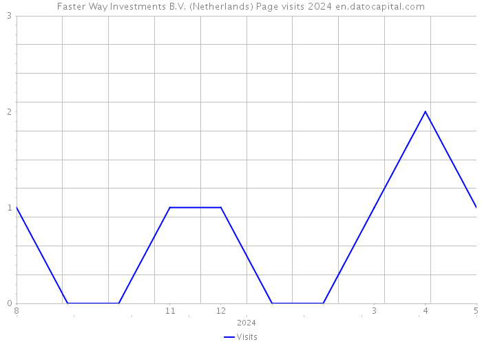Faster Way Investments B.V. (Netherlands) Page visits 2024 