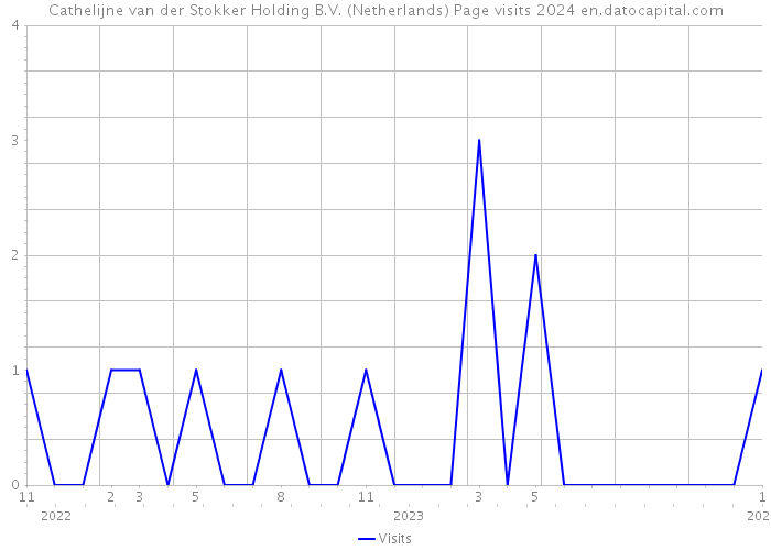 Cathelijne van der Stokker Holding B.V. (Netherlands) Page visits 2024 